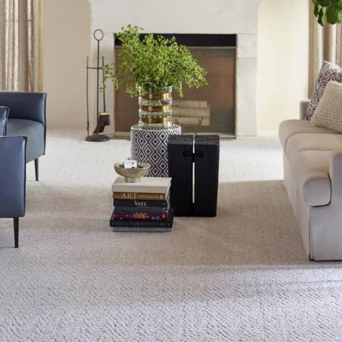 Living Room Pattern Carpet - Signature Flooring & Interiors, IL